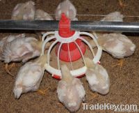 Adjustable Auger Automatic Pan Feeding System feeding systems for poul