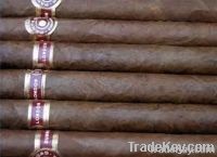 Multiple Branded Cigar
