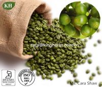 Green Coffee Bean Extract Total chlorogenic acids 50%