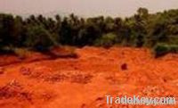 laterite