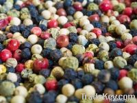 Black Pepper | White Pepper | Red Pepper | Green Pepper