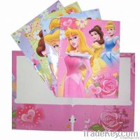 paper file folder