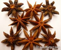 Chinese star aniseed