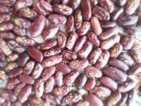 White, red speckled sugar beans kidney beans 