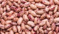 White, Red Speckled Sugar Beans Kidney Beans 