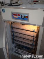 Ce approve full automatic RD-440 egg incbuator