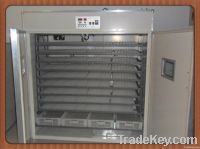 Ce approve full automatic RD-2816 poultry incubators for chicken eggs