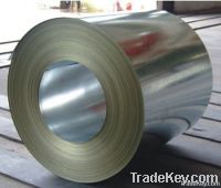 Galvanized Steel Sheet in Coil (GI)