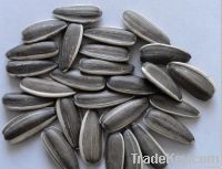 https://ar.tradekey.com/product_view/2011-New-Crops-Of-Sunflower-Seeds-1997153.html