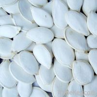 https://ar.tradekey.com/product_view/2011-Snow-White-Pumpkin-Seeds-1997559.html