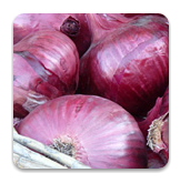 Onion Red