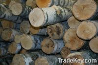 Birch Firewood