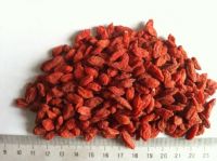 2023 New Supply Dried Goji Berries