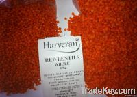 Red Lentils Without Husk / Skin - Whole - Football - Split