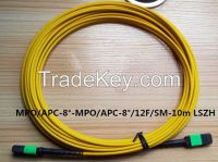 MPO Patch cord