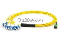 MTP break-out patch cord