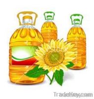 Sunflower Oil