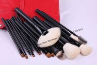 21-piece Professional Cosmetic/Makeup Brush Set
