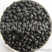 Black Turtle Beans or Small Black Kidney Bean