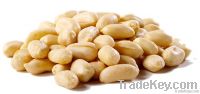 Roasted Blanched Peanuts