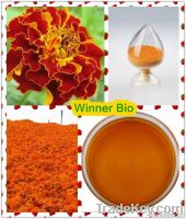 Natural marigold extract lutein