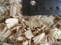 Eucalyptus wood shavings