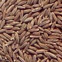 INDIAN CUMIN SEEDS WHOLE