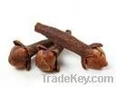 INDIAN CLOVES WHOLE