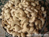 Cheap Cashew Nut | Wholesale Cashew Nut | Discounted Cashew Nut | Bulk Cashew Nut | Cashew Nut Suppliers | Cashew Nut Exporters | Cashew Nut Manufacturers | Cashew Nut Buyer | Import Cashew Nut