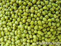 Mung Beans