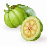 Garcinia