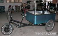 Electric Cargo Trike