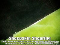 Sheepskin Shearing Fur