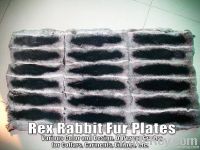 Rex Rabbit Fur Skins and Plates