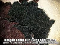 Kalgan Lamb Fur Skins and Plates