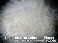 Tibet Lamb Fur Skins and Plates