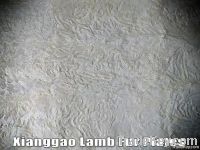 Xianggao Lamb Fur Plates