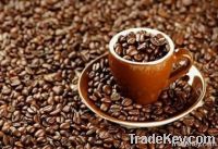 export Arabica Coffee beans,Arabica Coffee bean importer,Arabica Coffee beans buyer,buy Arabica Coffee beans,Arabica Coffee bean manufacturer,best Arabica Coffee bean exporter,low price Arabica Coffee beans,best quality Arabica Coffee bean,Coffee bean sup