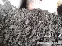 Coconut Shell Charcoal