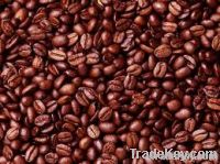 Export Coffee Beans | Coffee Bean Importer | Coffee Beans Buyer | Buy Coffee Beans | Coffee Bean Wholesaler | Coffee Bean Manufacturer | Best Coffee Bean Exporter | Low Price Coffee Beans | Best Quality Coffee Bean | Coffee Bean Supplier | Sell Coffee Bea