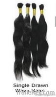 Single Drawn Wavy Hairs