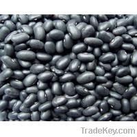 https://fr.tradekey.com/product_view/Black-Beans-For-Sale-2027959.html