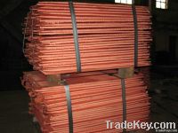 Copper Cathode