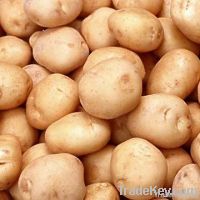 potatoes