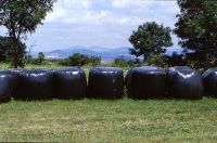 silage wrap / bale wrap