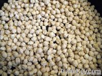 Chick Peas