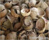 Coconut Shell