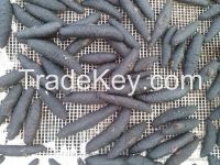 Dried Sea cucumber