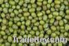 Quality green grams( Mung Beans)