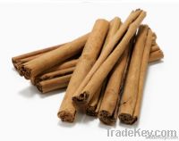 Cinnamon Stick